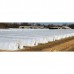 6mil String Reinforced White Overwintering Plastic Sheeting 